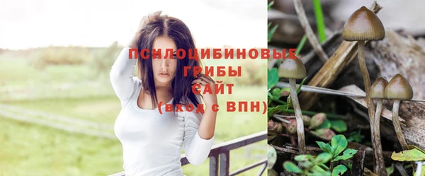 твердый Алзамай