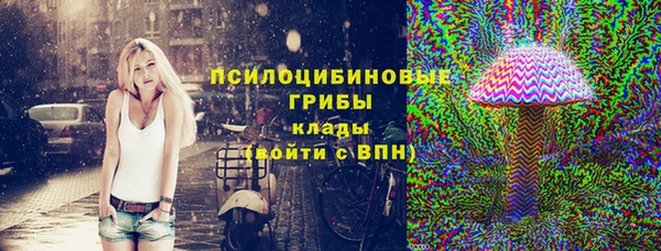 твердый Алзамай